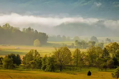 mist and foggy morning in Cades Cove 