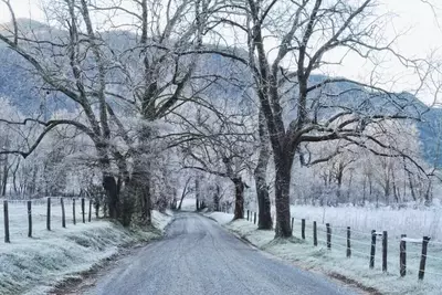 frosted cades cove smoky mountains