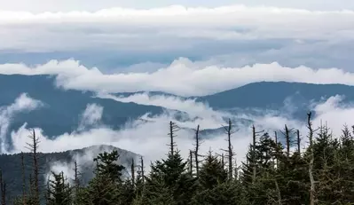 Smoky Mountains' smoke