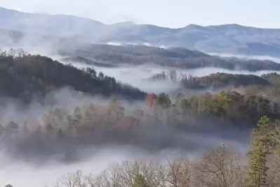 Fog around the smoky mountains