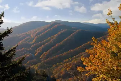 newfound gap in the fall