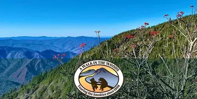 A Walk In The Woods logo with Smoky Mountains in background