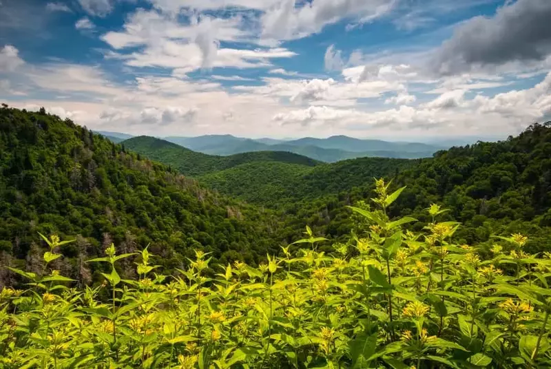Smoky Mountains in spring