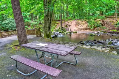 Picnic area in Smoky Mountains
