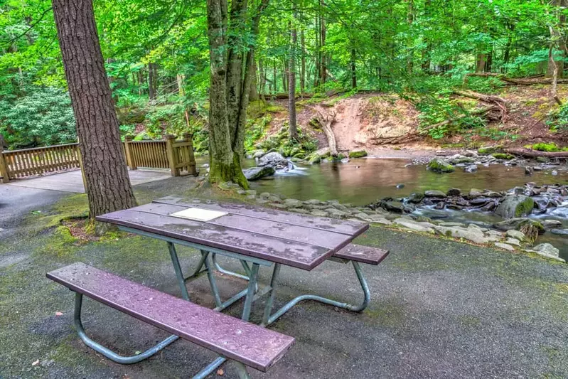 Picnic area in the Great Smoky Mountains National Park