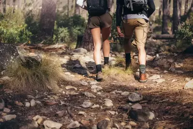 hikers on a trail 