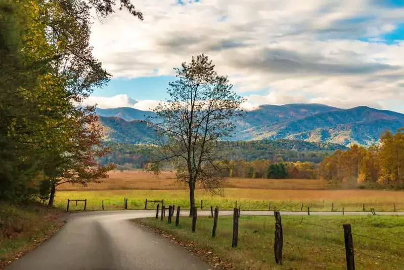 cades cove loop road in the fall