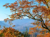 Fall foliage in the Smoky Mountains