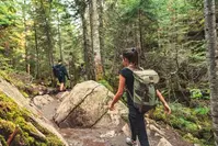 hiking in great smoky mountains national park