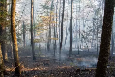 smoke from a contained burn in Cades Cove