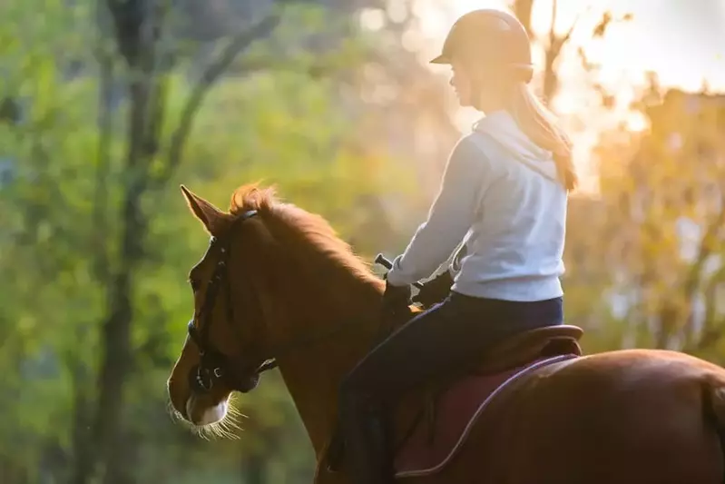 woman riding a horse in the Smoky Mountains