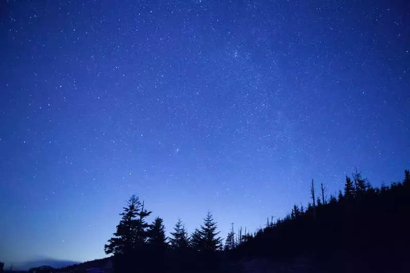 stars in the night sky in the Smoky Mountains