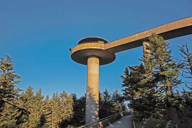 The Clingmans Dome observation tower stands above the forest floor.