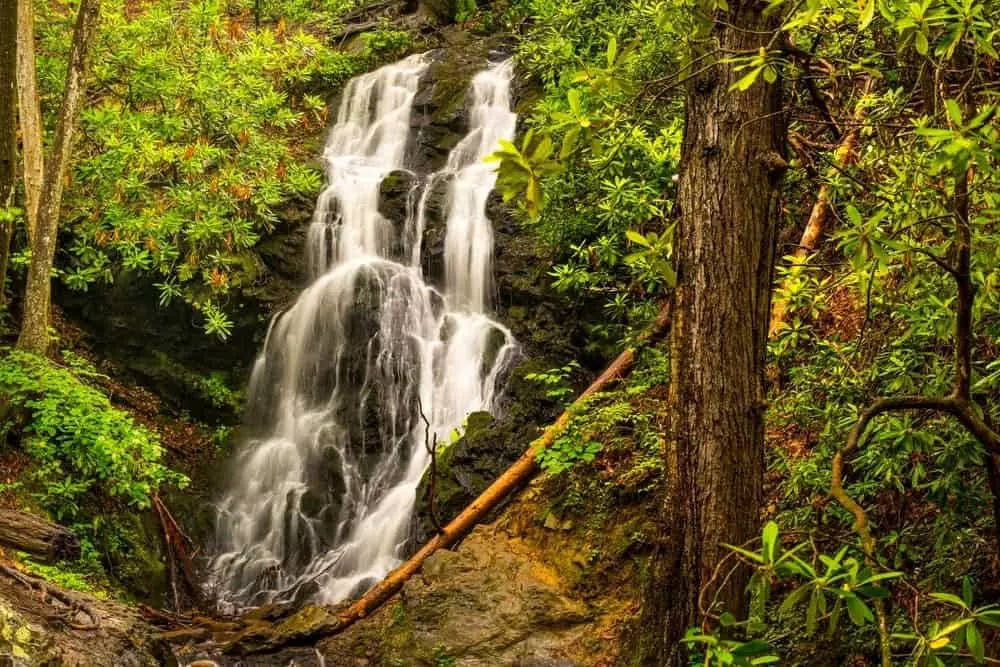 4 Easy Hikes in the Smoky Mountains the Entire Family Can Enjoy