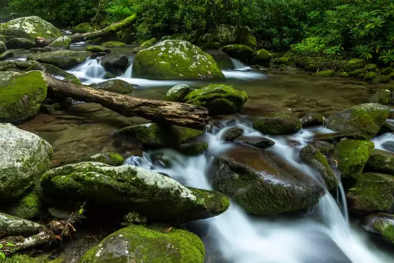 river in the smokies