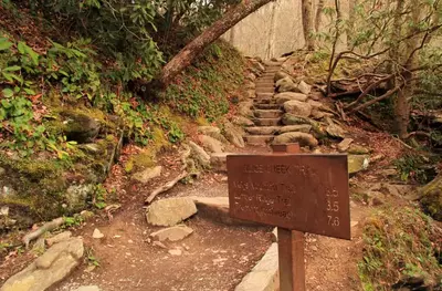 A stone staircase leads an uphill path through the woods behind a sign noting the Meigs Creek Trail.