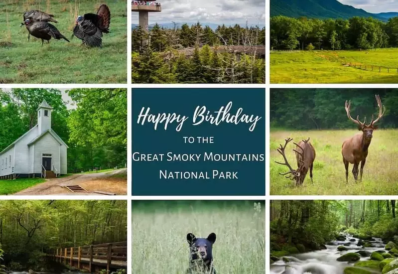 Great Smoky Mountains National Park Happy Birthday