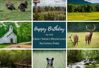 Great Smoky Mountains National Park Happy Birthday