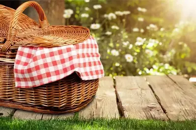 picnic basket on picnic table