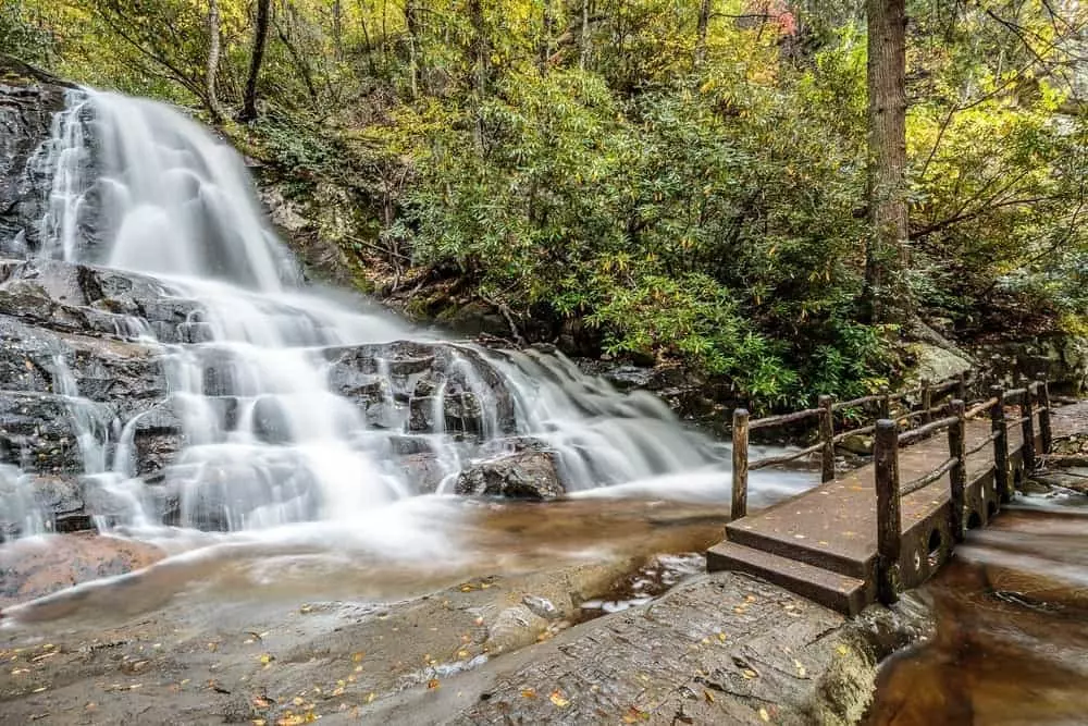 4 Best Family Hiking Trails in the Smoky Mountains to Try