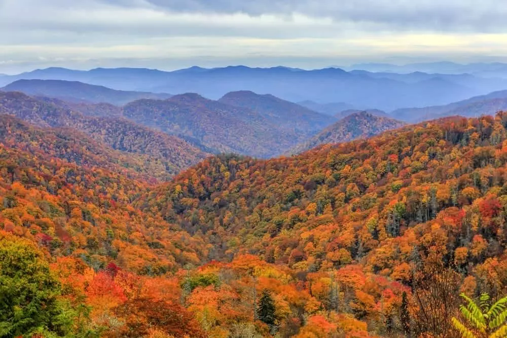 Best fall hikes smoky mountains hotsell