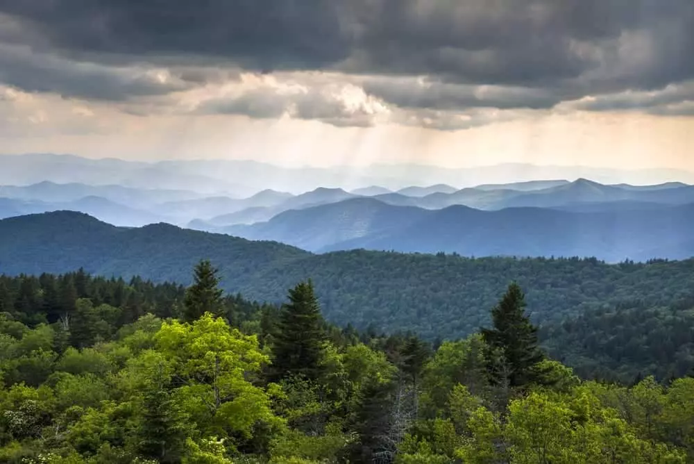 4 Helpful Tips for Birding in the Great Smoky Mountains