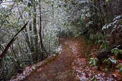 Winter trail in the smoky mountains