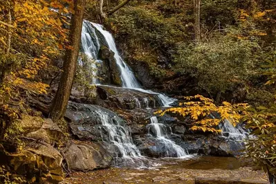 Laurel Falls during fall