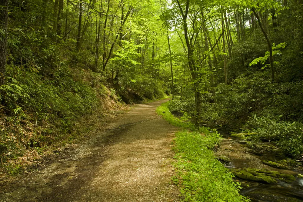 Schoolhouse Gap Trail A Smoky Mountains Hidden Gem