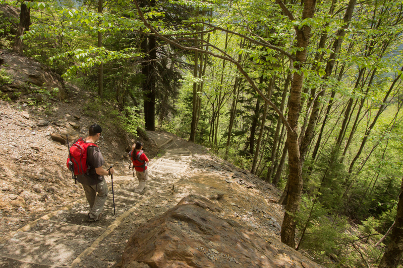 hiking trail in the smokies