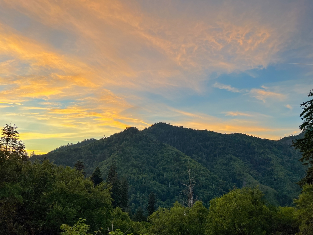 5 Impressive Statistics About Great Smoky Mountains National Park