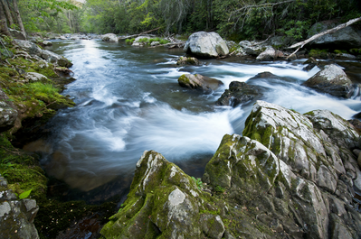 little river smoky mountains