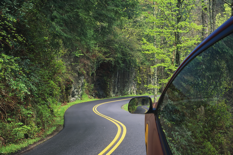 road to elkmont in great smoky mountains