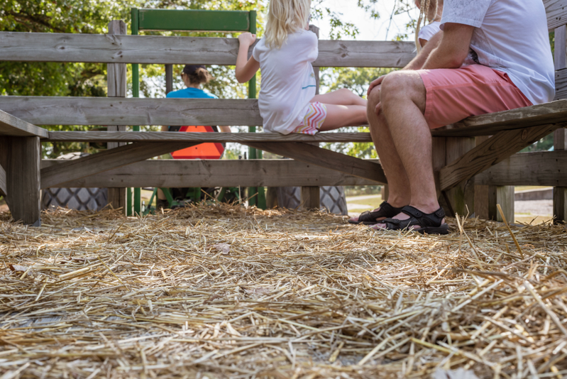 cades cove hayrides