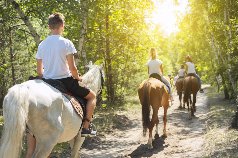 horseback riding