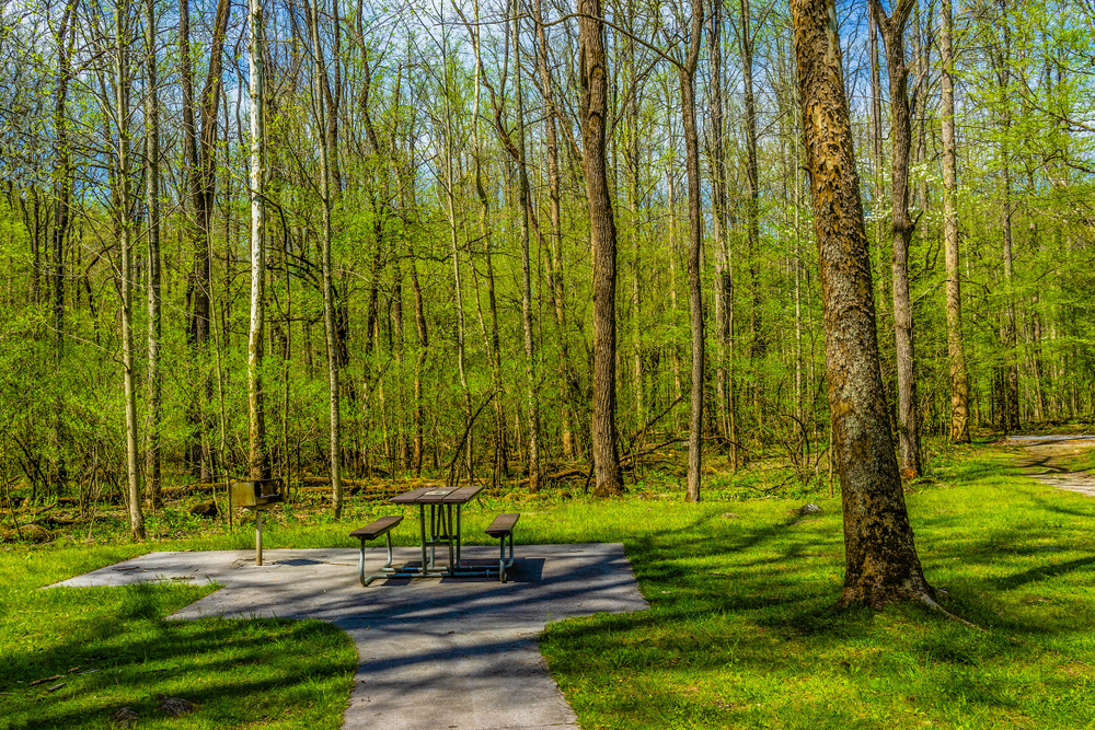 picnic areas in the smoky mountains