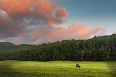 cataloochee valley at sunrise