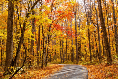 roaring fork motor nature trail