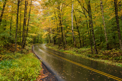 fall in the smokies