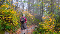 fall hikes in the smoky mountains