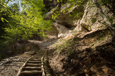 alum cave log steps