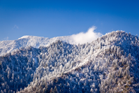 smoky mountains during winter