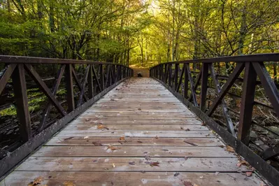 the gatlinburg trail