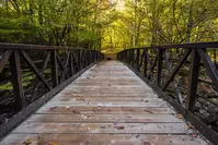 the gatlinburg trail