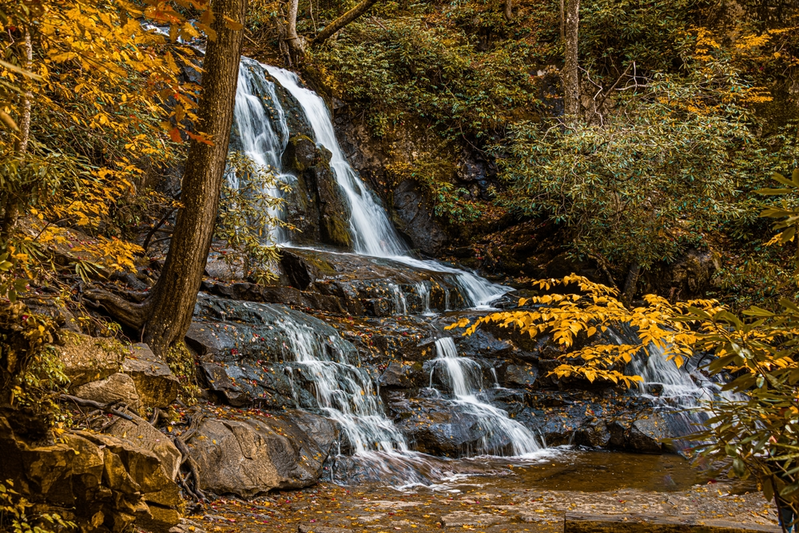 laurel falls in fall