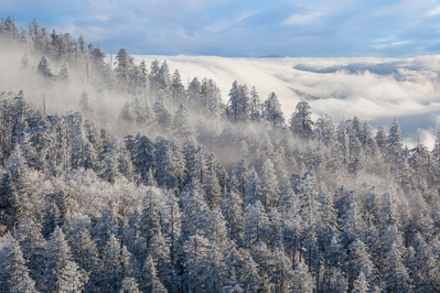 smokies in winter