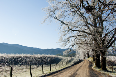 cades cove winter