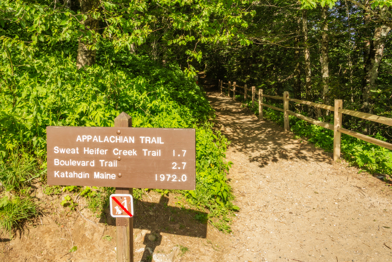 appalachian trail in the smoky mountains