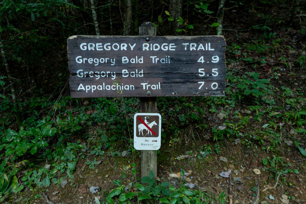 gregory bald trail