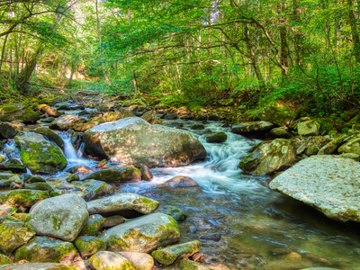 greenbrier smoky mountains